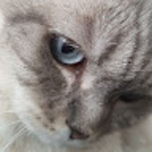 Meet your Posher, Nataliia